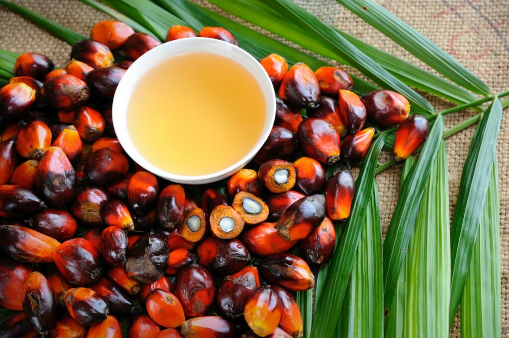 Produkte mit Palmöl