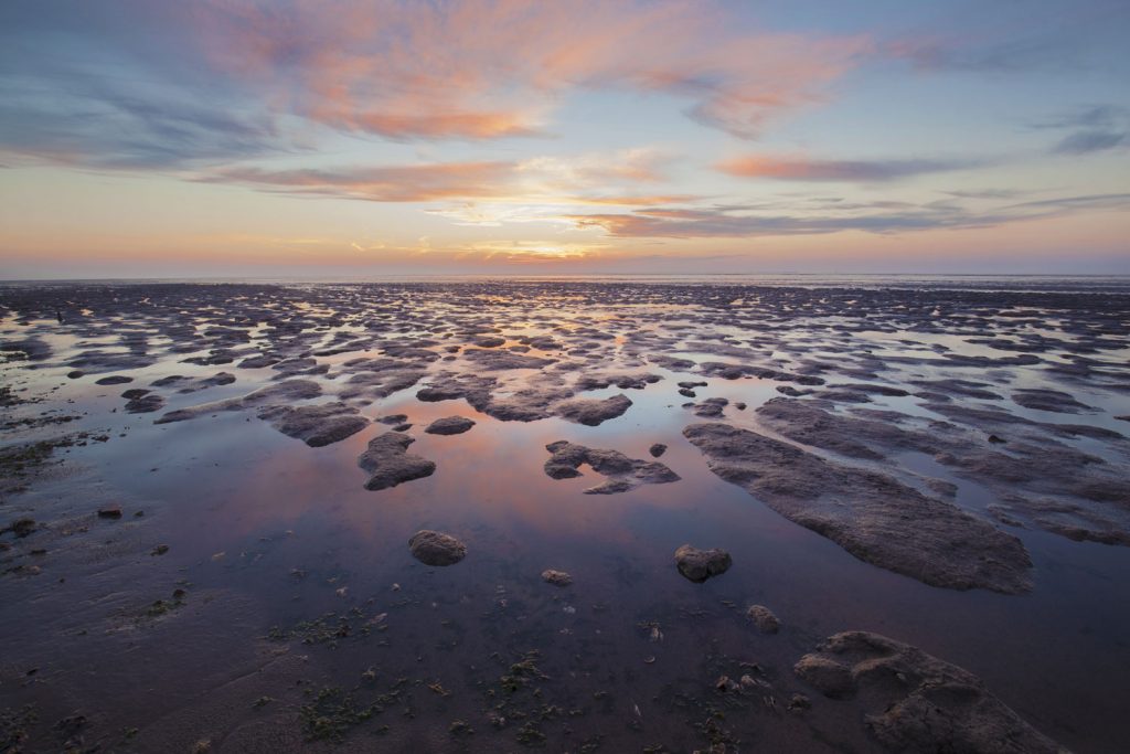 Wattenmeer, Nordsee