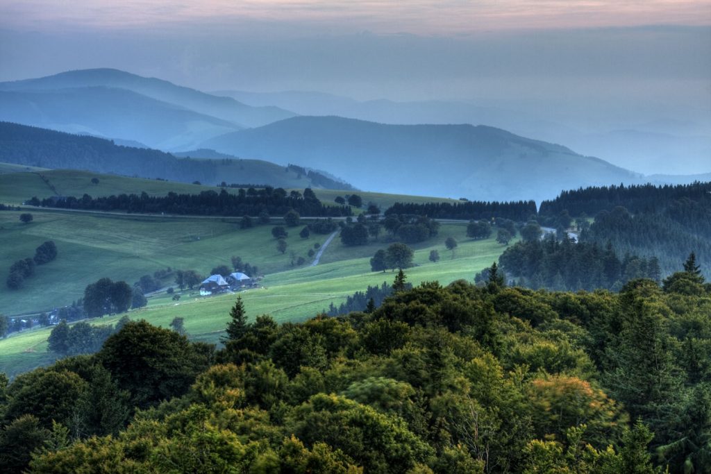 Schwarzwald