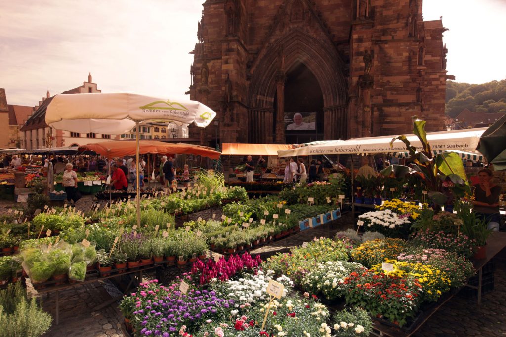 Freiburger Münstermarkt