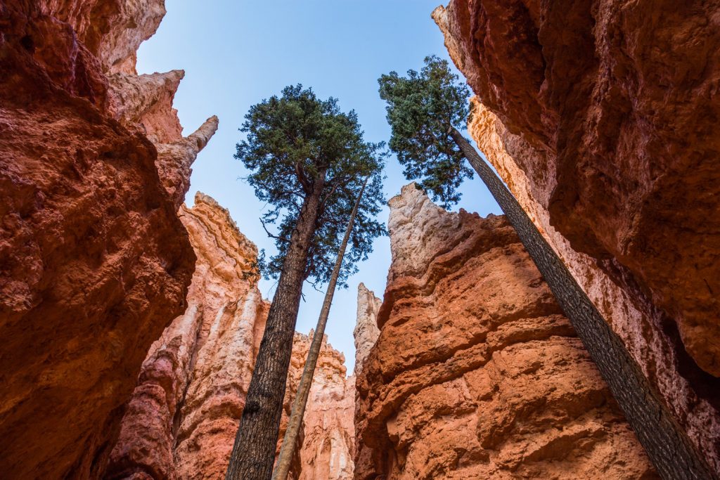 Faszinierende Naturwunder – das hat unsere Erde zu bieten
