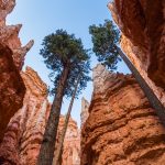 Faszinierende Naturwunder – das hat unsere Erde zu bieten