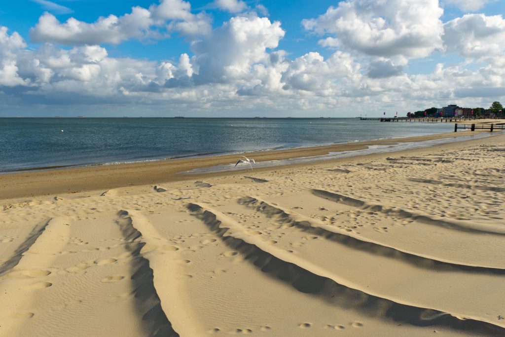 Föhr