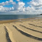Föhr