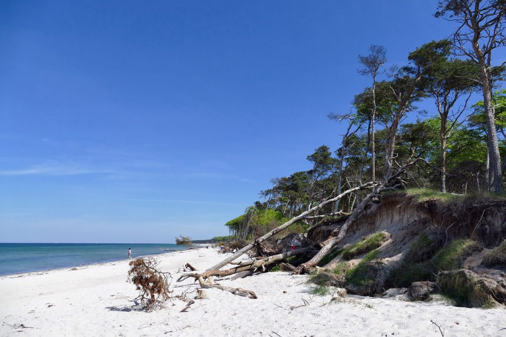 Weststrand Darß