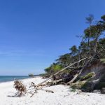 Weststrand Darß
