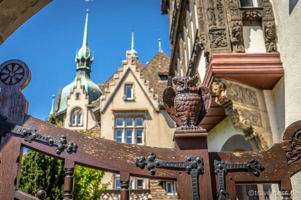 Eule sitzt auf altem Zaun in Straßburg