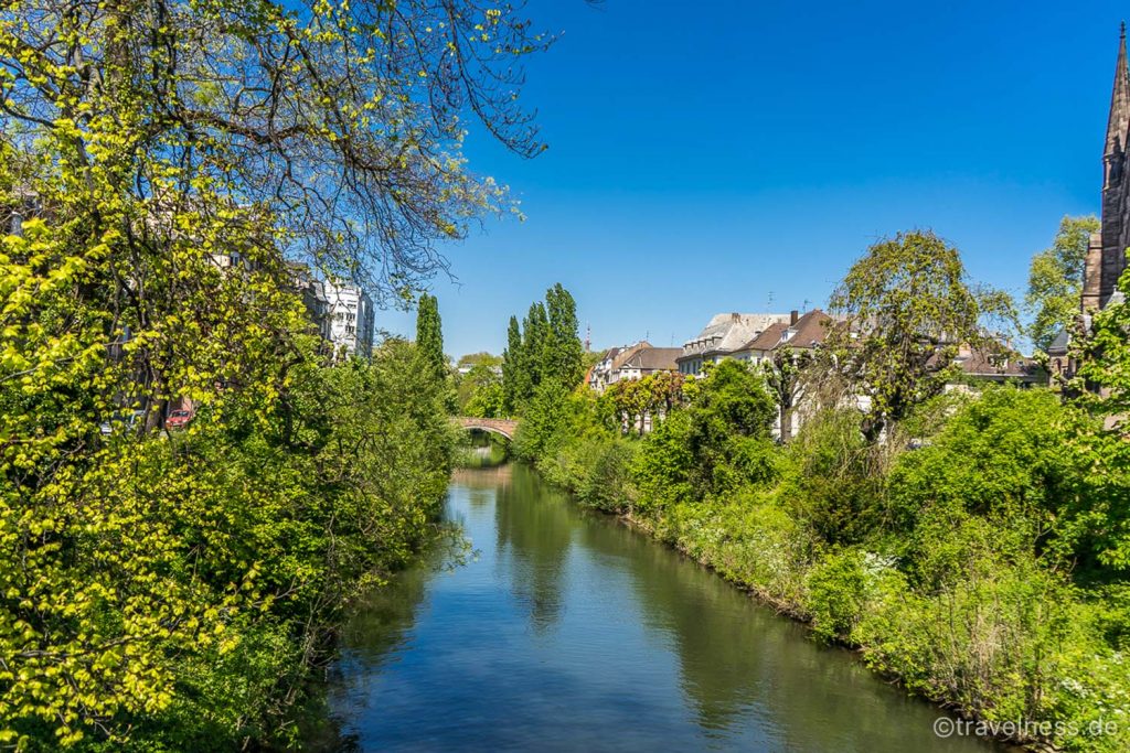 Blick auf begrünte Natur am Kanalrand in Straßburg