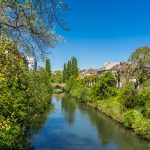 Blick auf begrünte Natur am Kanalrand in Straßburg