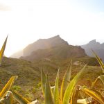 Mountainbike-Tour