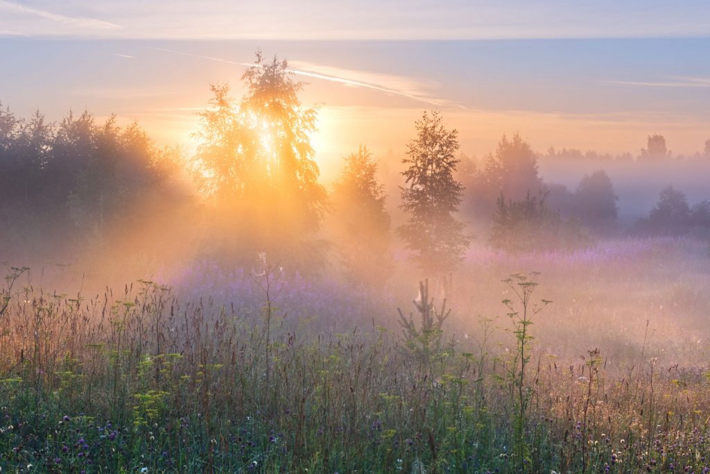 Mythen zu Mittsommer