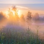 Mythen zu Mittsommer