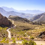 4. Oman