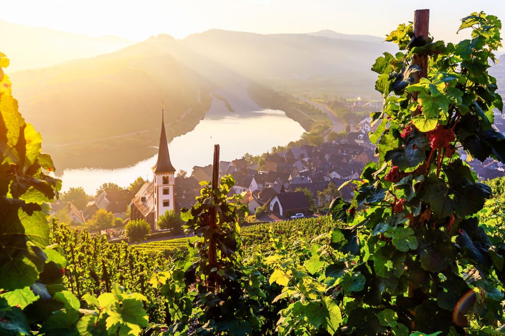 Mosel-Radweg