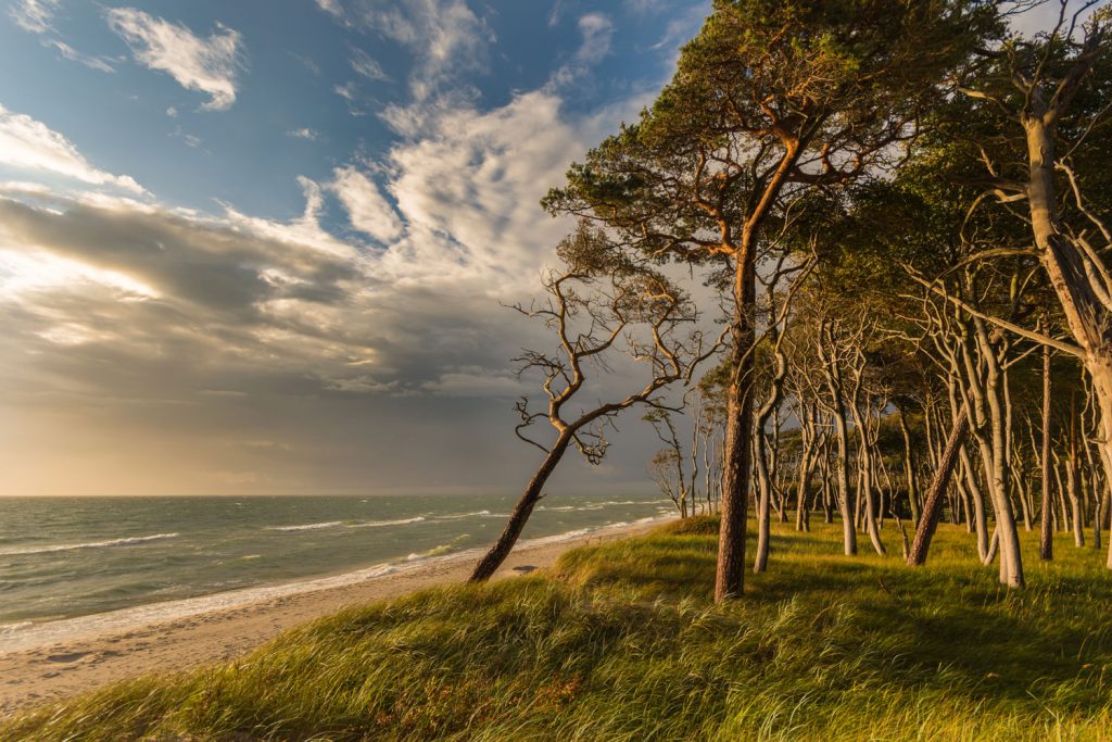 Nationalpark Vorpommersche Boddenlandschaft