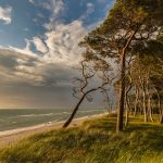 Nationalpark Vorpommersche Boddenlandschaft