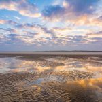 Nationalpark Hamburgisches Wattenmeer