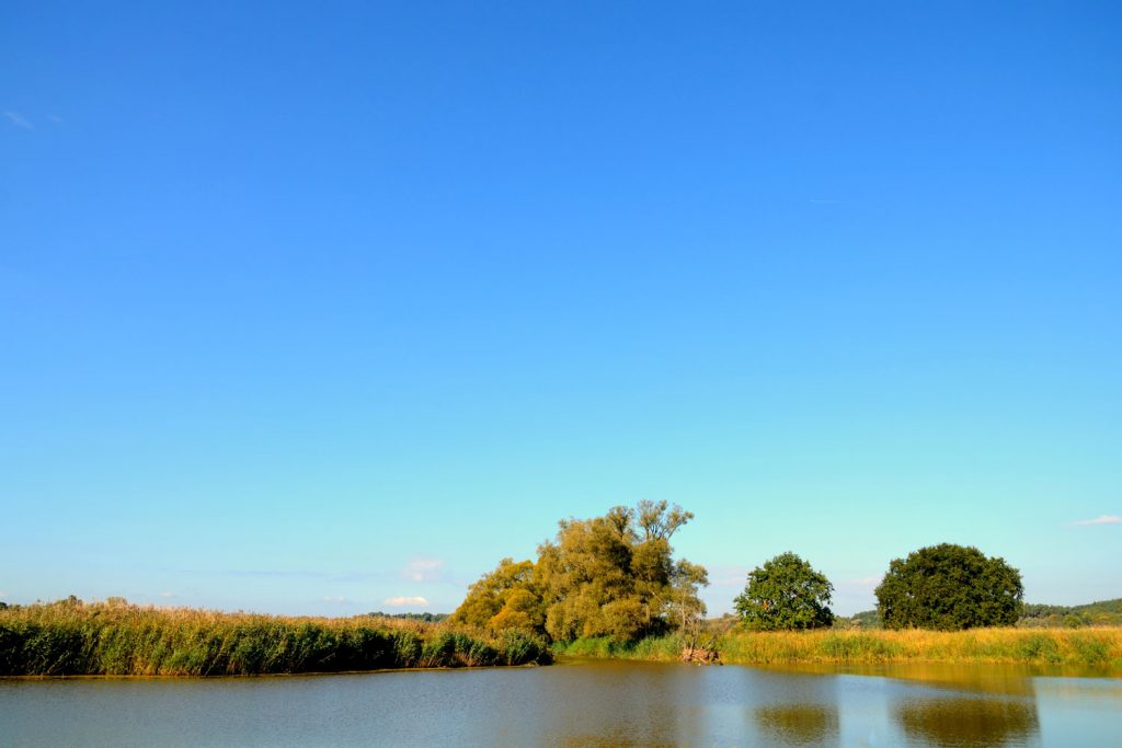 Nationalpark Unteres Odertal