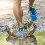Die Regeln des Trails