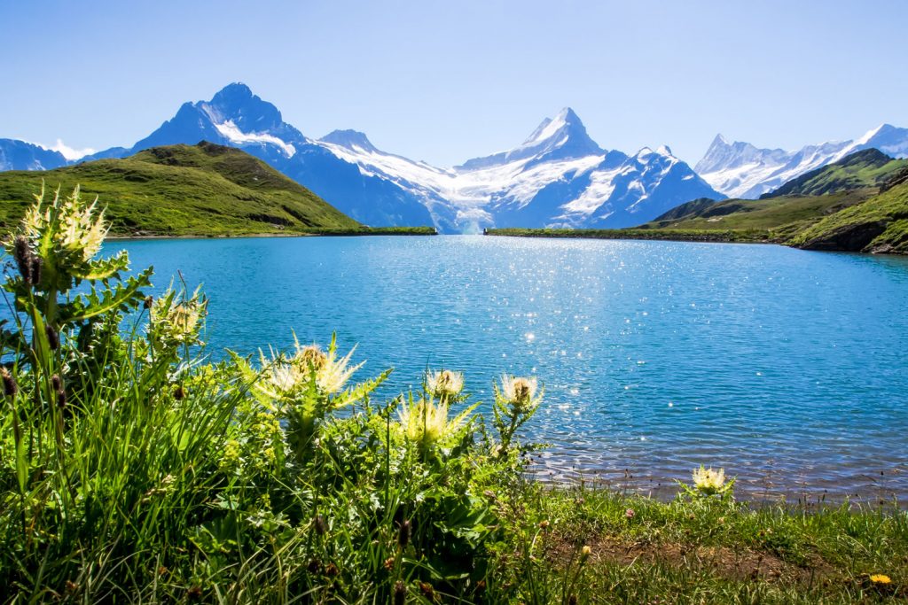 Grüne Via Alpina