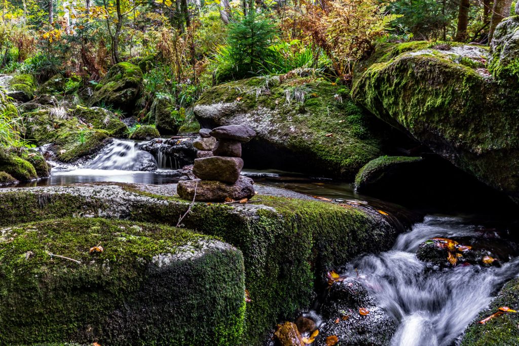 Nationalpark Bayrischer Wald