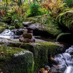 Nationalpark Bayrischer Wald