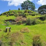 Neuseeland: Matamata