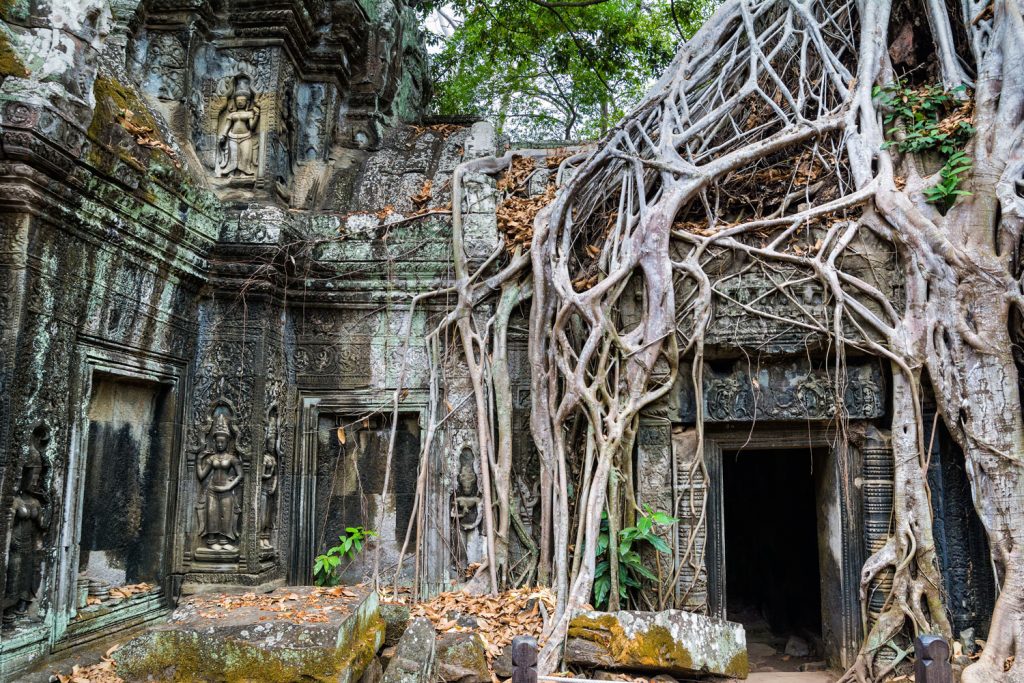 Kambodscha: Ta Prohm