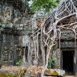 Kambodscha: Ta Prohm
