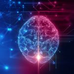 Es geht nicht um den IQ
