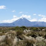 Neuseeland: Mount Ngauruhoe