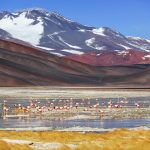 Argentinien: Tren a las Nubes