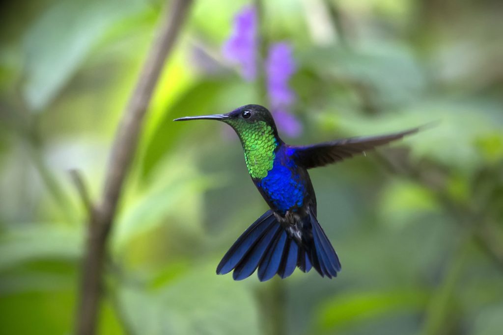 Naturschutz wird großgeschrieben