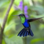 Naturschutz wird großgeschrieben