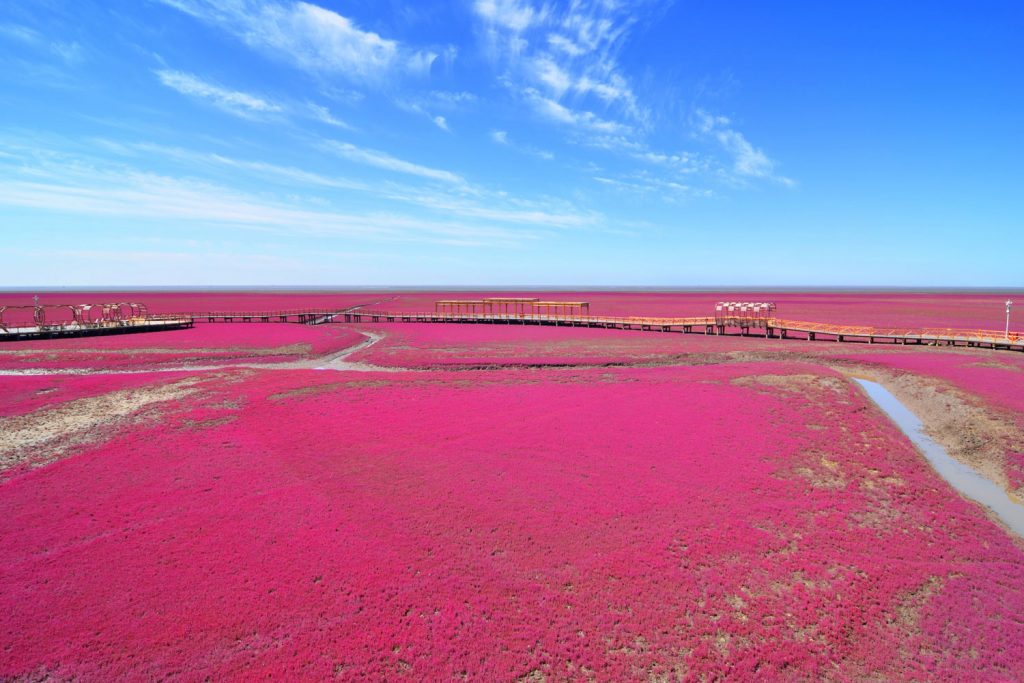 Der rote Strand von Panjin
