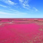 Der rote Strand von Panjin