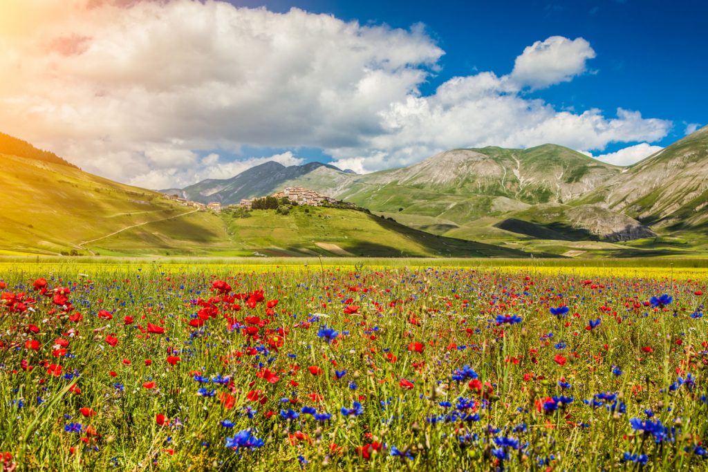Italien: Castelluccio