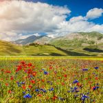 Italien: Castelluccio