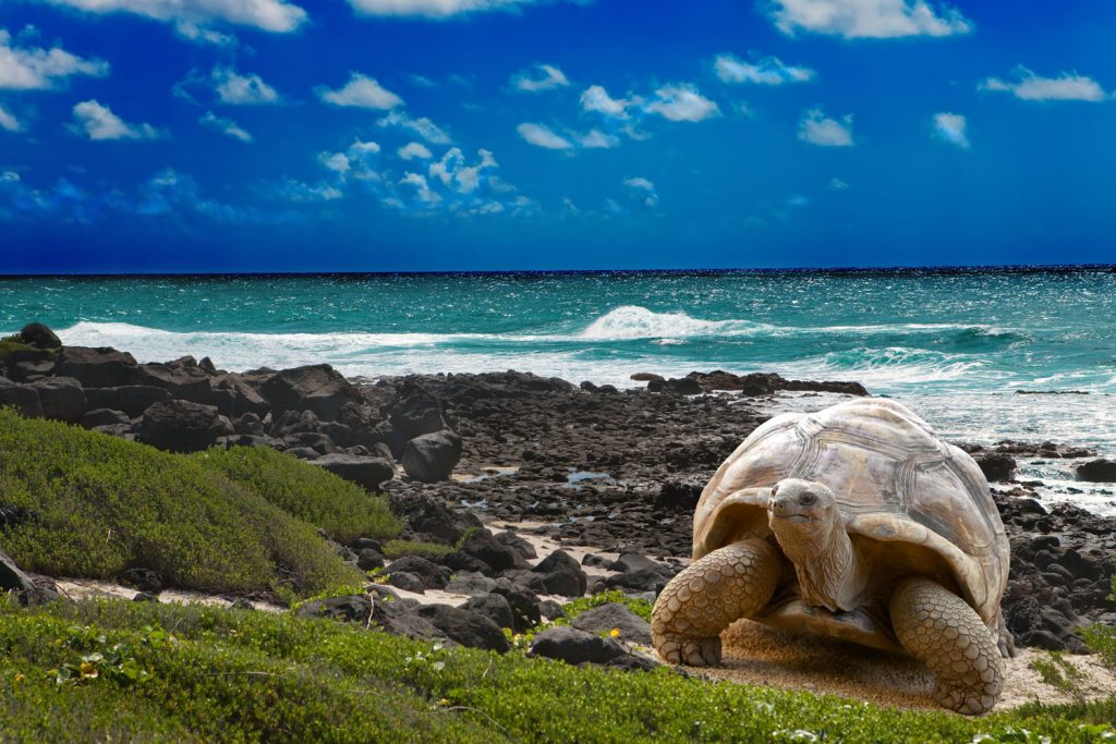Equador: Galapagos Inseln
