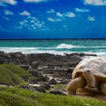 Equador: Galapagos Inseln