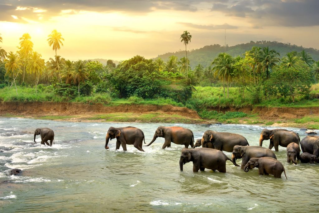 Sri Lanka