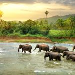 Sri Lanka