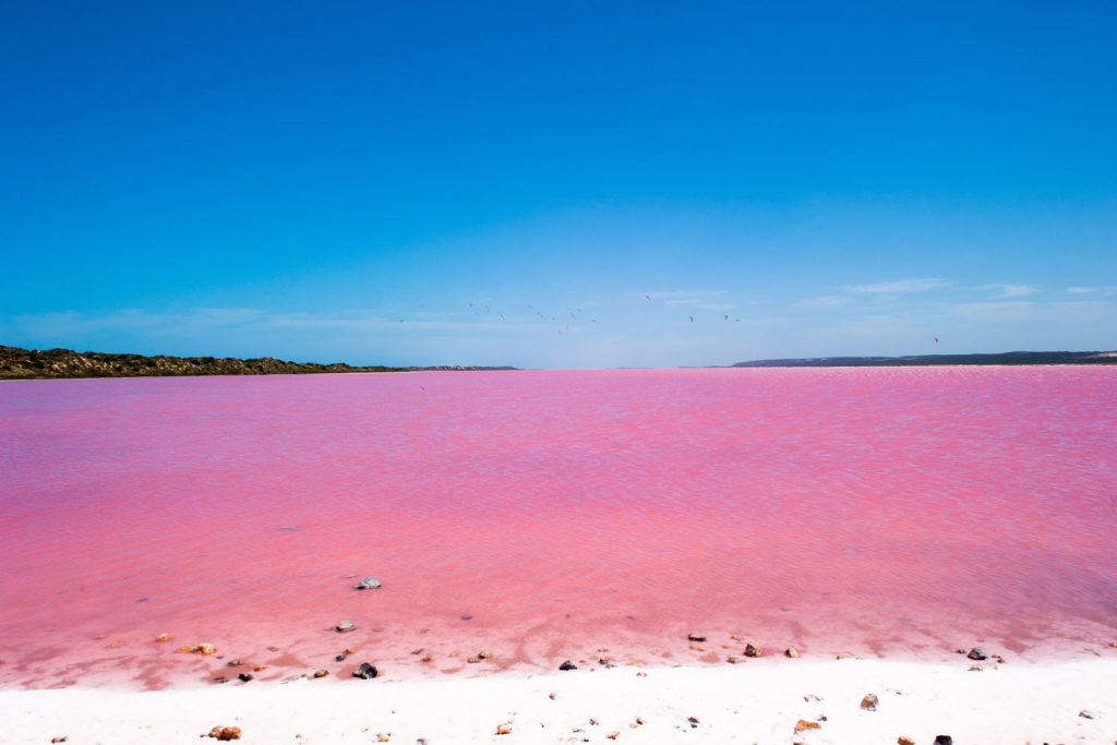 Australien: Lake Hillier
