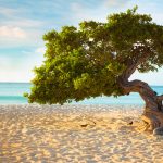 Eagle Beach, Aruba