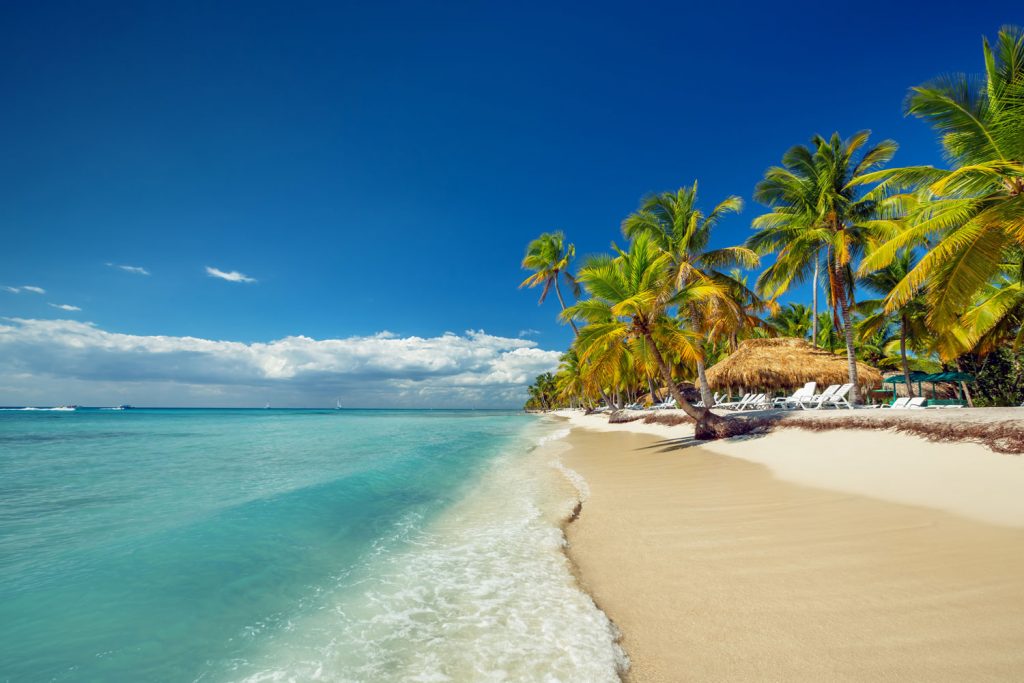 25 Tage Jamaica
