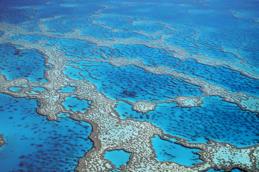 Australien: Great Barrier Reef