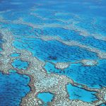 Australien: Great Barrier Reef