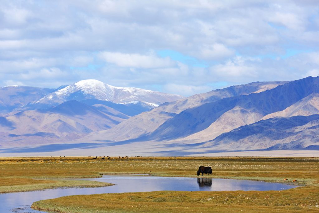 Geheimtipp Mongolei
