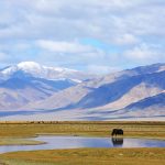 Geheimtipp Mongolei
