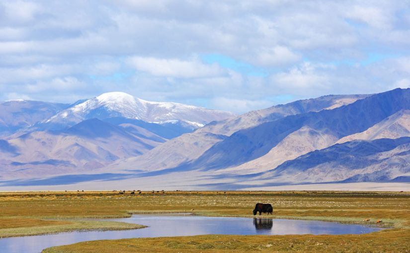 Geheimtipp Mongolei
